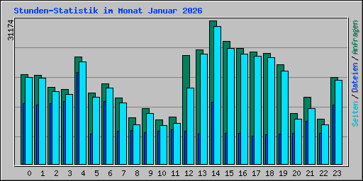 Stunden-Statistik im Monat Januar 2026