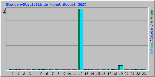 Stunden-Statistik im Monat August 2025