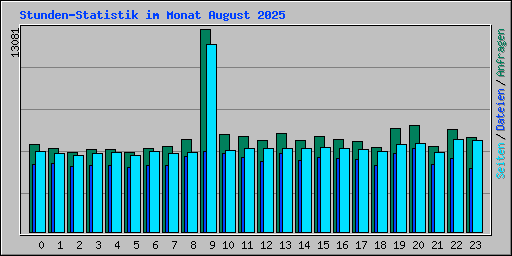 Stunden-Statistik im Monat August 2025